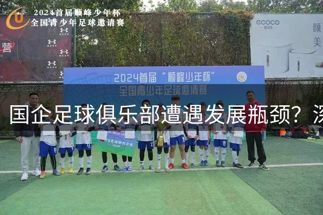 国企足球俱乐部遭遇发展瓶颈？深度剖析运营模式与破局之道